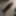 Pictures of my cock