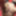 do you like it when i get fucked pretty hard or do it yourse #19