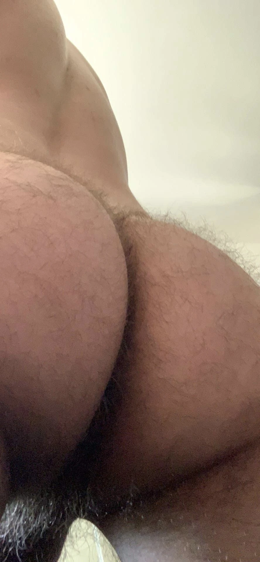 ass