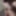 Out of control jockslut masturbator #2