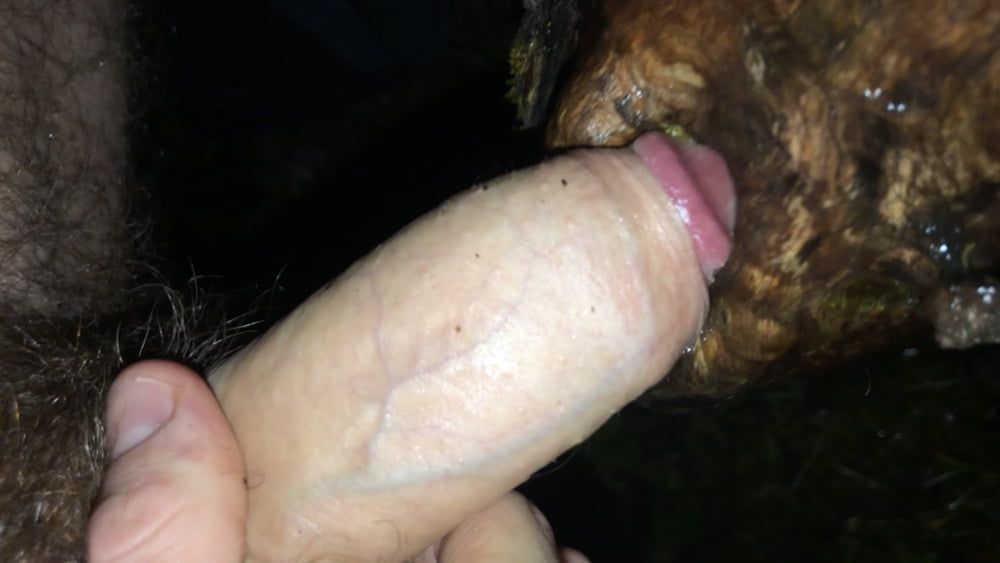 Fat cock fucking a hole #3
