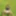 Mini skirt in the forest and nothing underneath