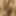 Dezahrae Dilley fat ugly whore naked 