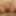 FTM pussy - close-up
