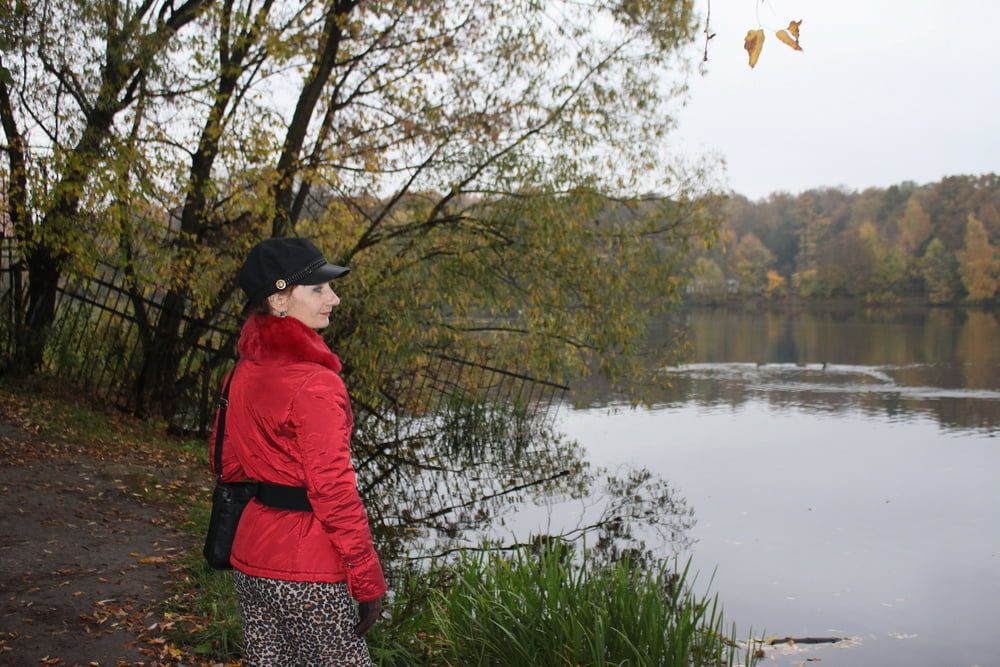 red jacket and yellow leaves #4