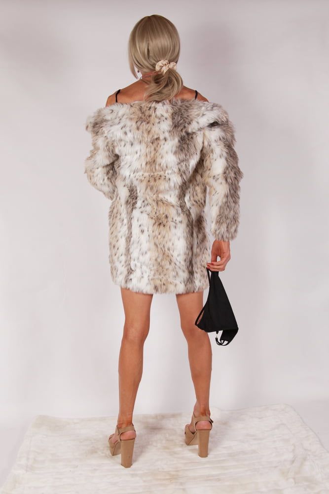 9 Alessia Models Velvet Blue Dress & Fur Coat #6