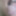 Close up blowjob