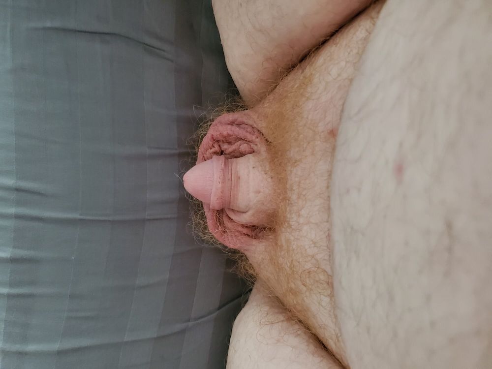 Chubby guy&amp;amp;amp;amp;#039;s little cock #2