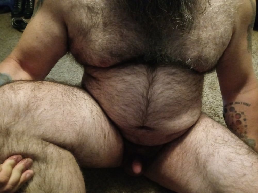 Hairy Bear with Great Legs
