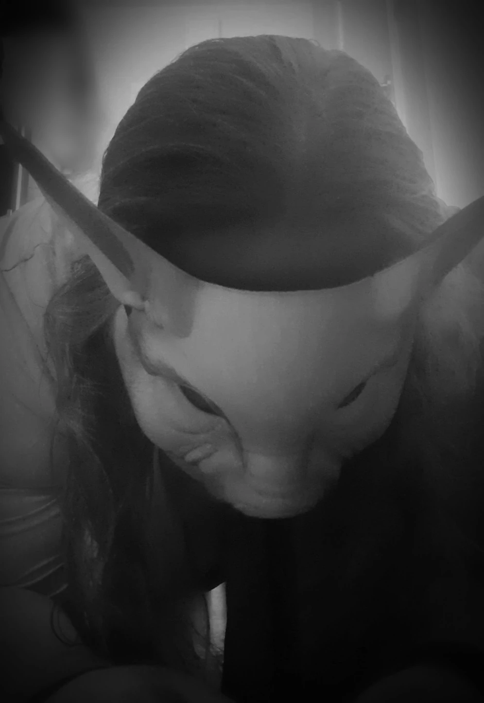Oink oink #5