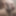 My naked pic and horny pics with my hornet cock.every one wa