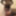 キャンディの写真