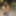 Firefoxforyou 無料写真