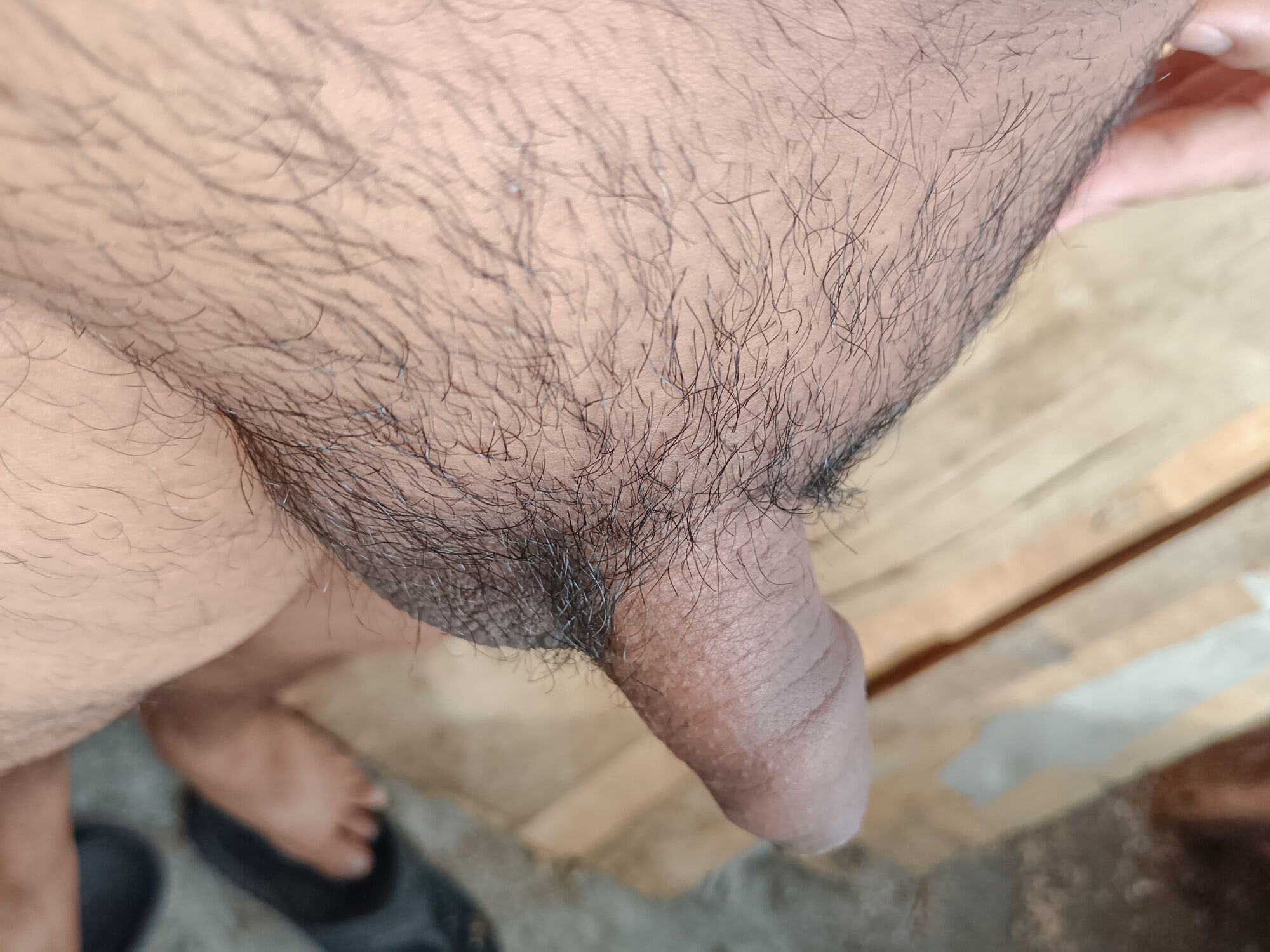 My Rich Dick without Erection and without hair removal - 01