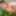 SelfiesNudes al Aire Libre (Excitado en la Calle) #17
