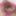 Test Gallery