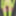 Green Mesh Lingerie #2