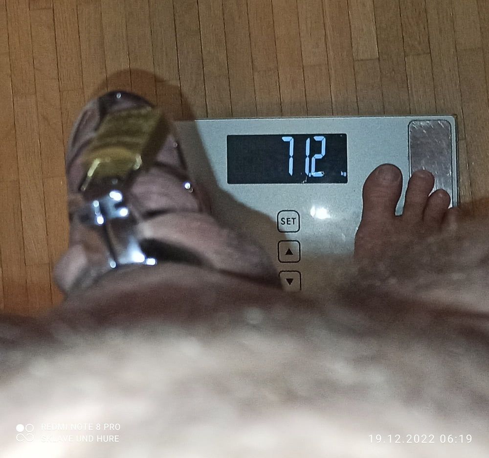 19.12.2022 mandatory weighing and cagecheck  #5