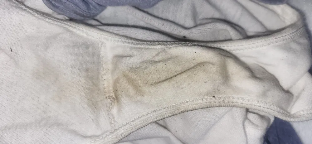 Wife&#039;s Sweet Smelling Panties #4