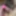 Edging small penis with clit vibrator #5