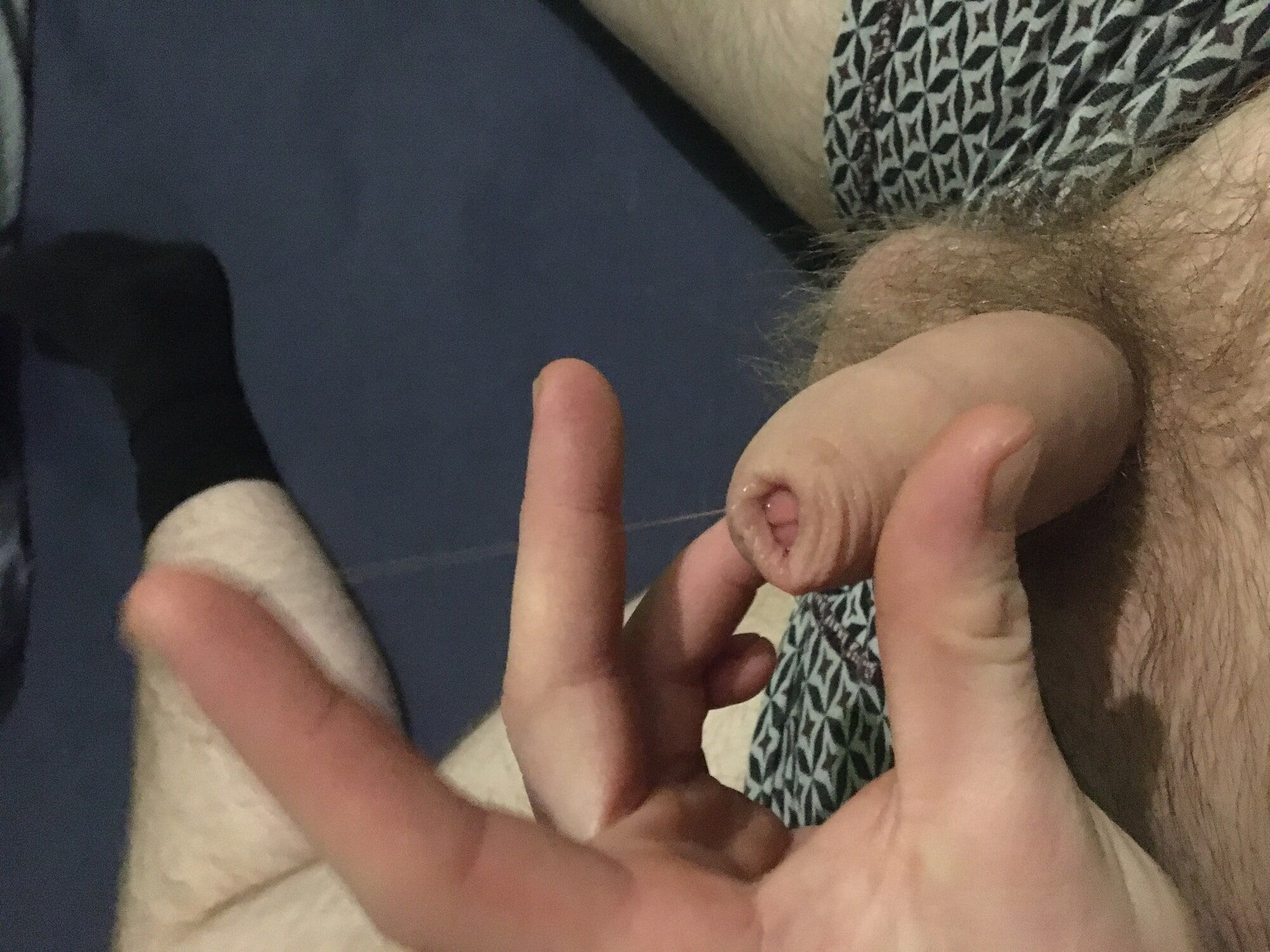 Hairy Dick And Balls Foreskin Pre-cum Play #48