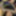 2月と3月のフェムボーイの写真