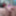 Mutual Masturbation Getting Off Together #5