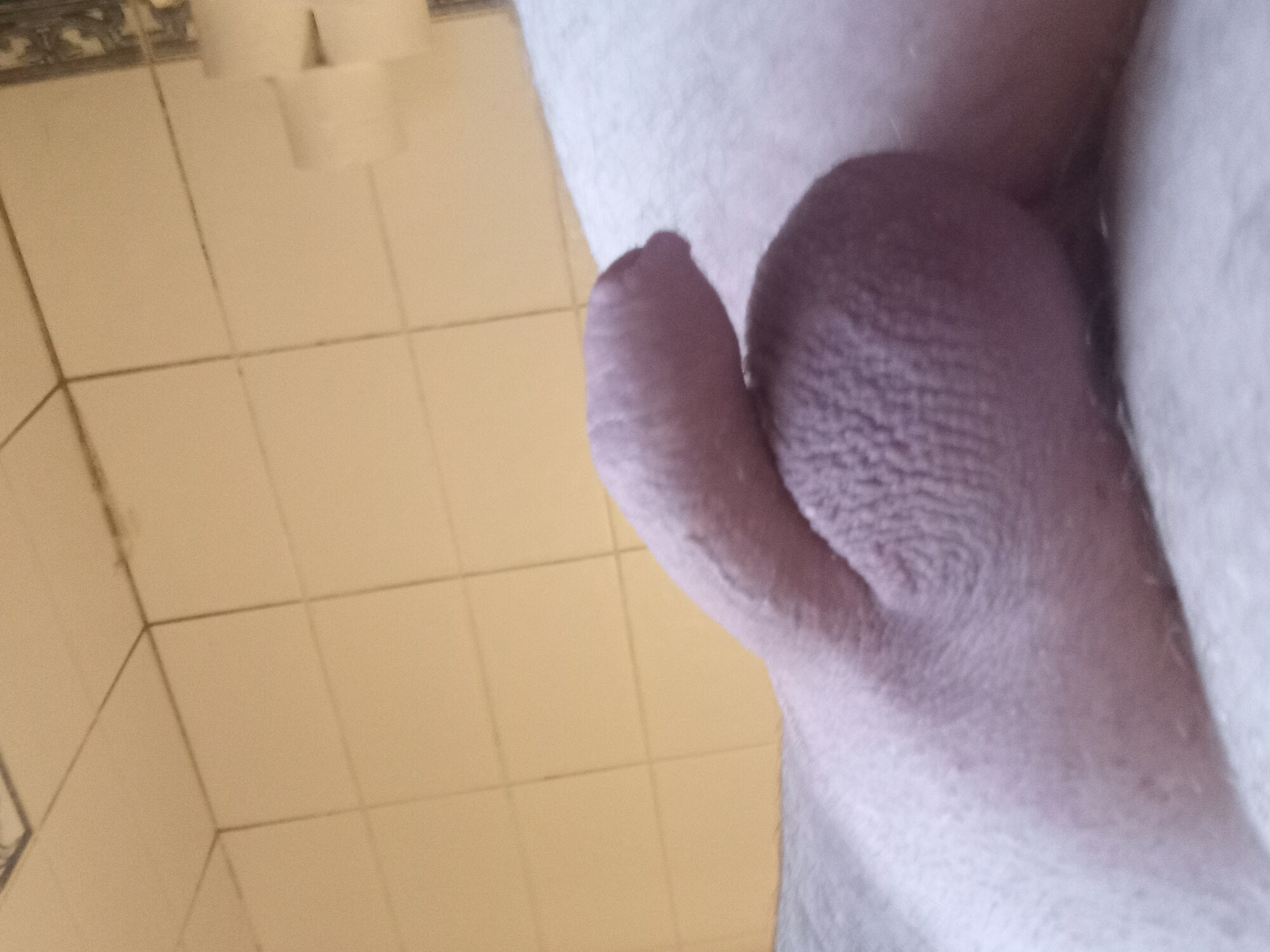Shaven #2