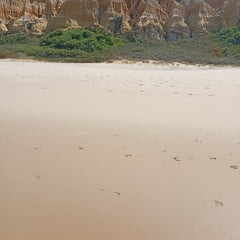  Mais um dia de praia  sozinho 