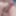 My veiny hard cock in close up