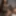 Ücretsiz IngAiden Fotoğrafları