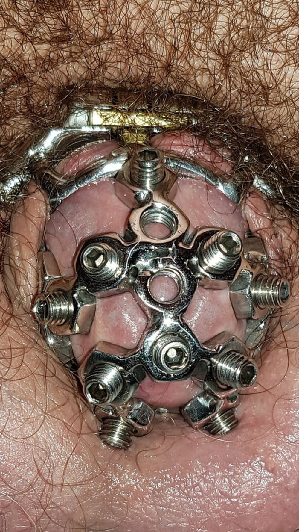 Chastity cage #11