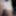 Brat Kinky Gifs 7