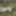 Resting on moss – nature in harmony #9