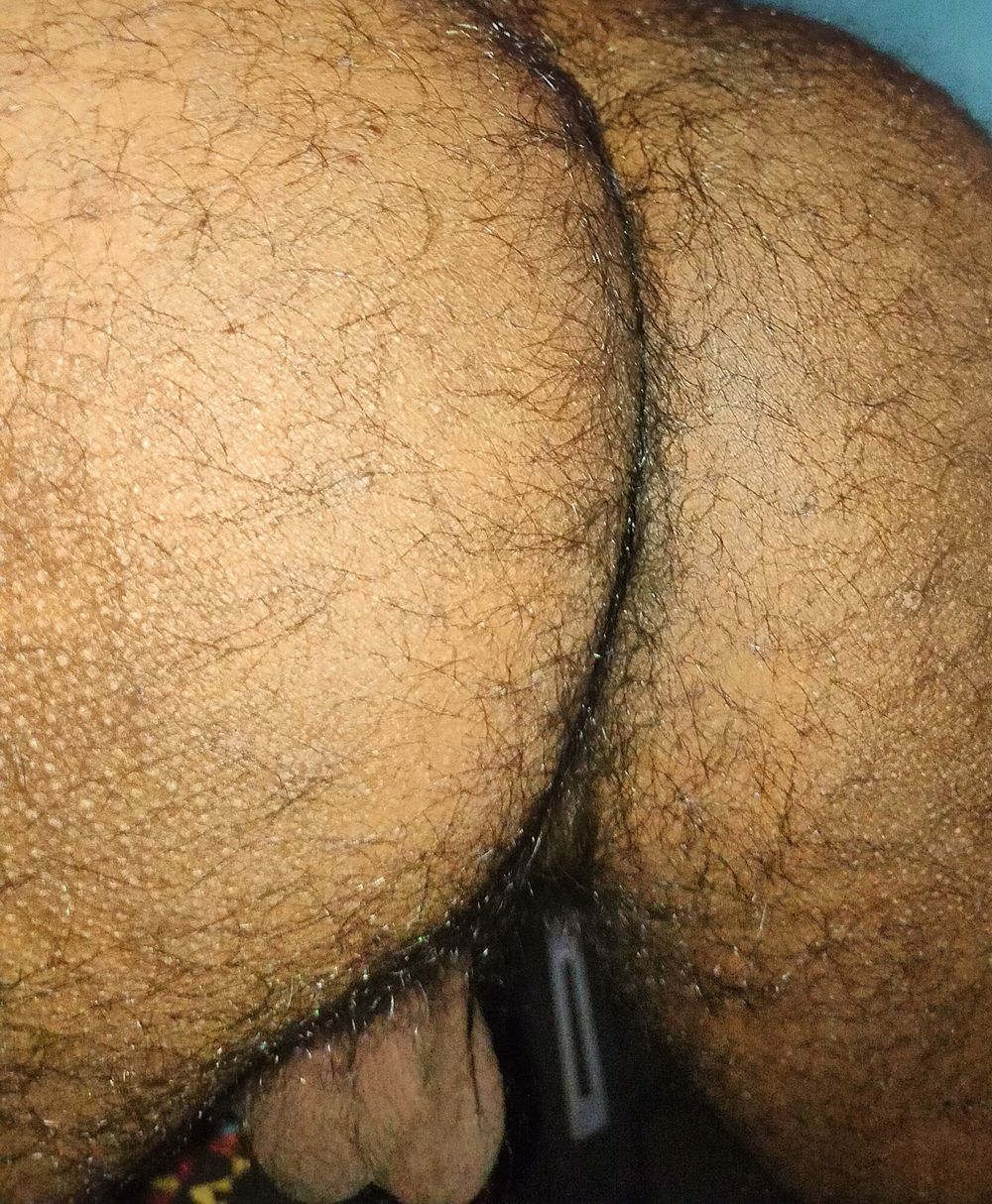 Hairy Cock and Ass #5