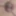 LOktober 30, 2024 Daily duty of the naked slave #6