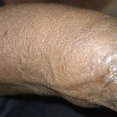 7 inch panis indian