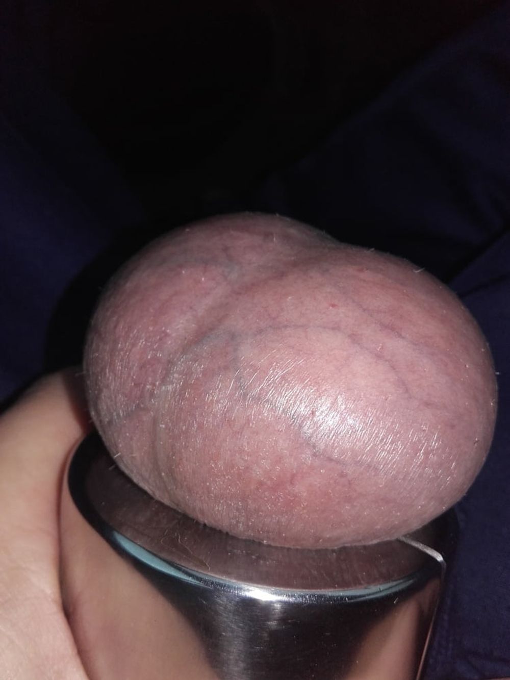 Cock And Balls #42