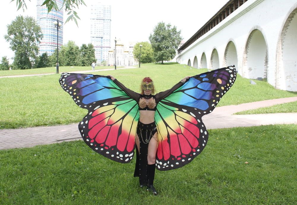 Wings of Butterfly #2