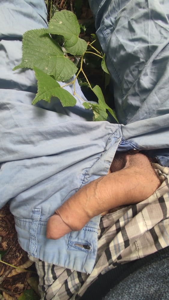 Lying on the forest floor , uncover my dick #8