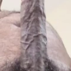 My Dick