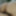 Submissive Slut Wife 