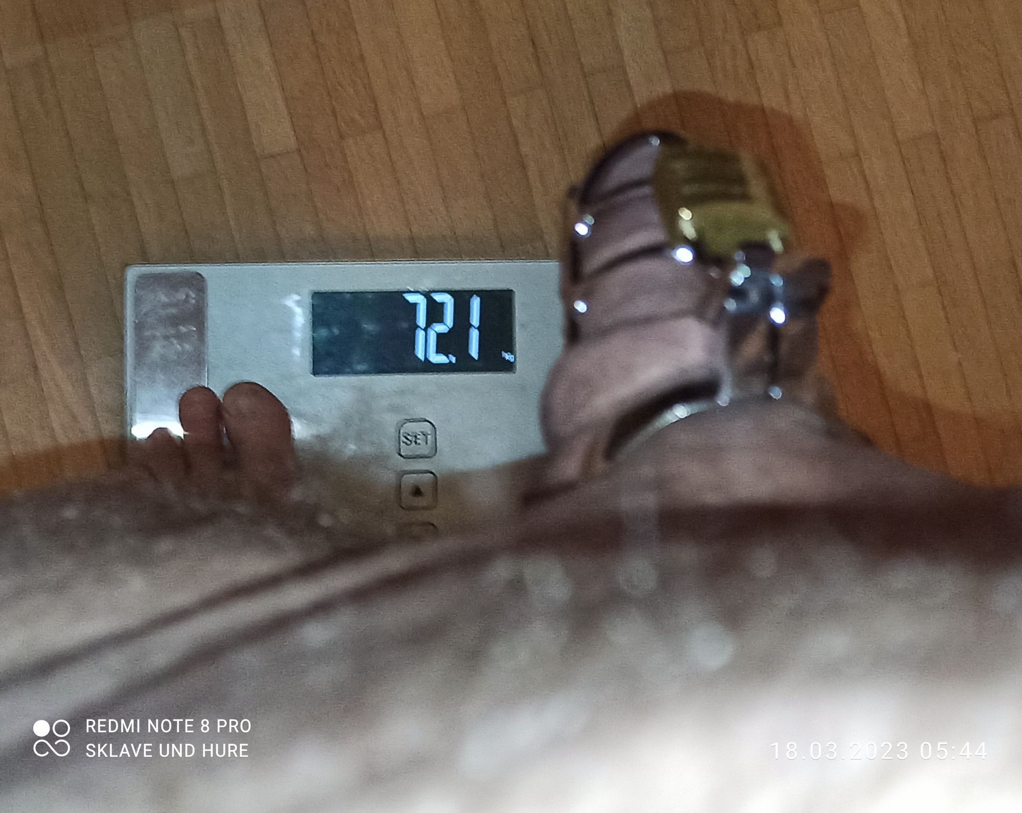 mandatory weighing and cagecheck of 18.03.23 #17