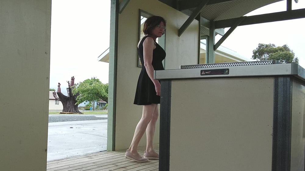 Crossdress Roadtrip - Roadside Rest Stop #21