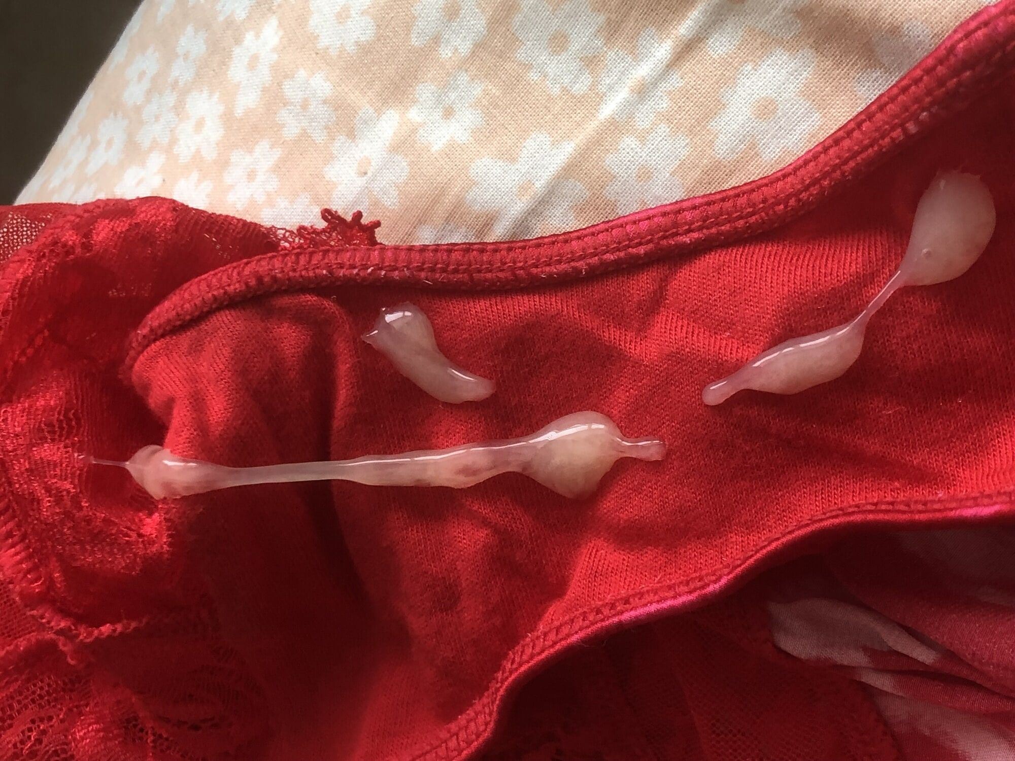 CUM SOAKED PANTIES 