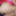 Hot and sexsi punam bhabhi 