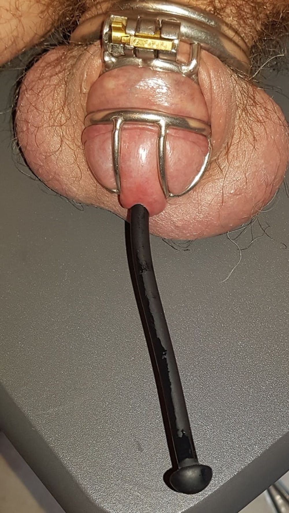 Urethral Insertion #5