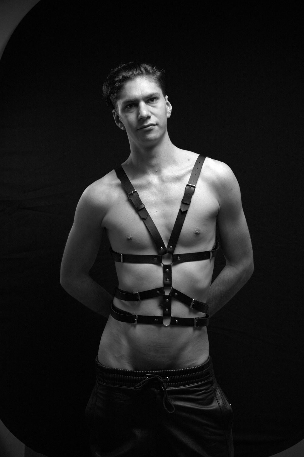 Leather and harness #3