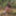 Summer 2019 - Part 3 #17