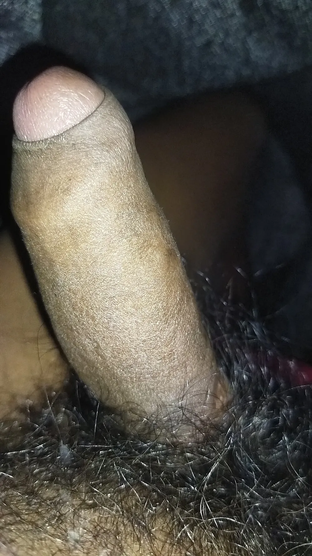 Cock desi #2